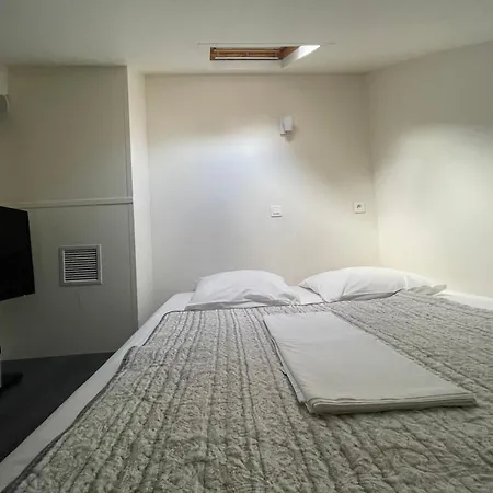 Maisonnette Avec Terrasse En Centre-ville, Non-adaptée à Tous - Echelle De Meunier Appartement *